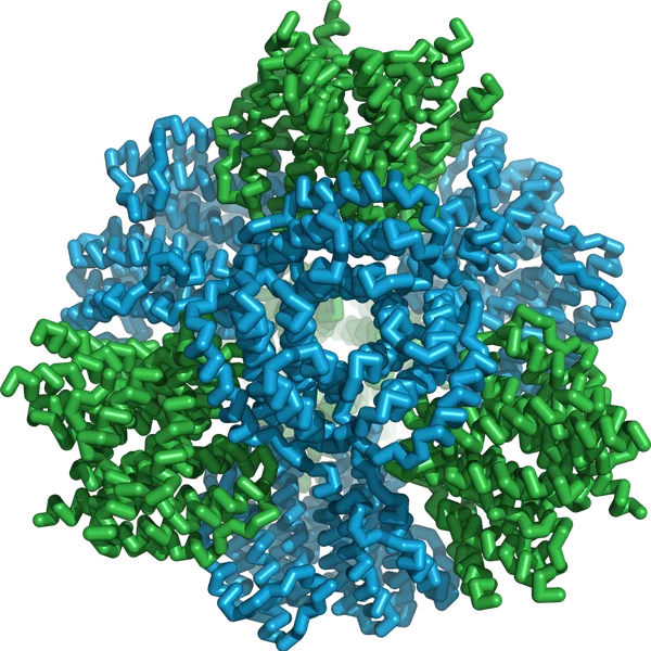 AvimerBio Protein Nanoparticle — Designed programmable cage architecture